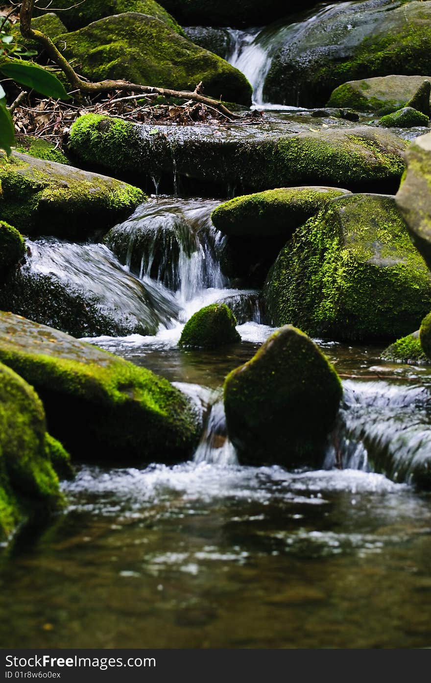 Water flowing through mossy rocks. Water flowing through mossy rocks