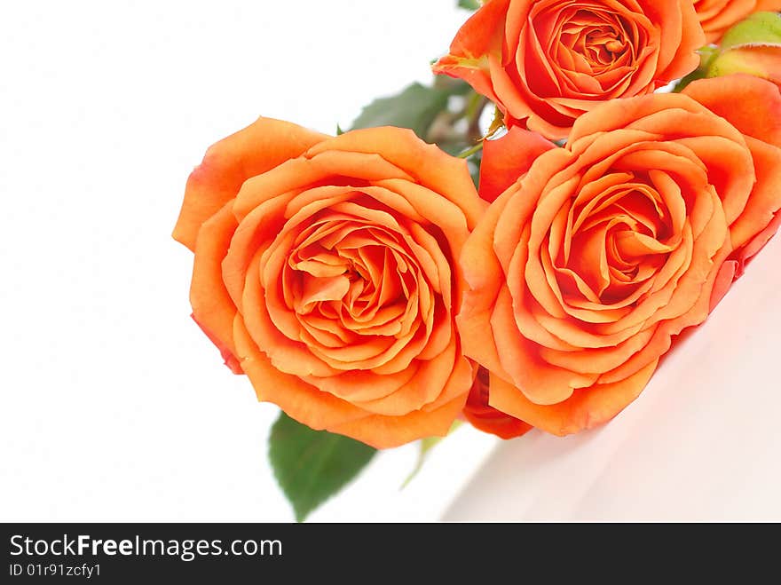 Bunch of orange color roses isolated on the white background. Bunch of orange color roses isolated on the white background.