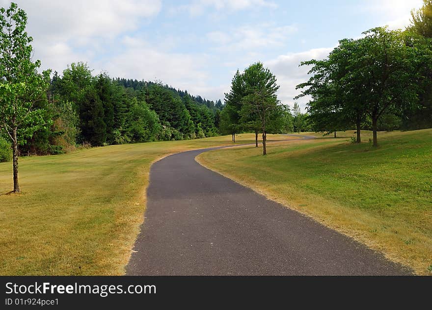 Park in summer day.