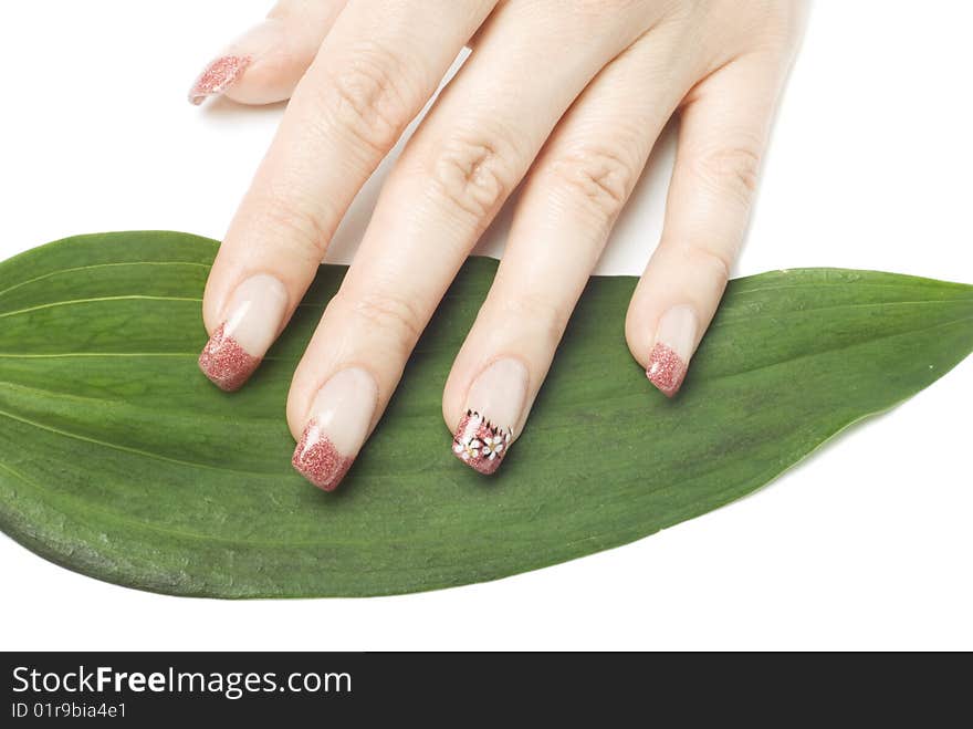 Woman hand and green leav(isolated)