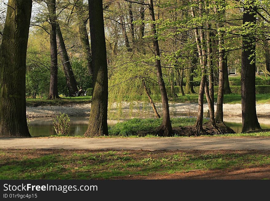 Path in the beautifull park