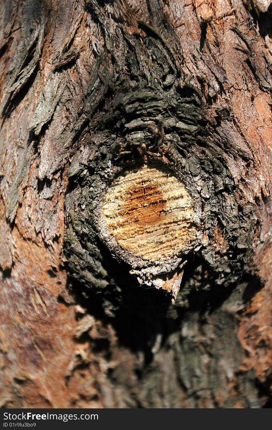 Old wooden abstract, natural background