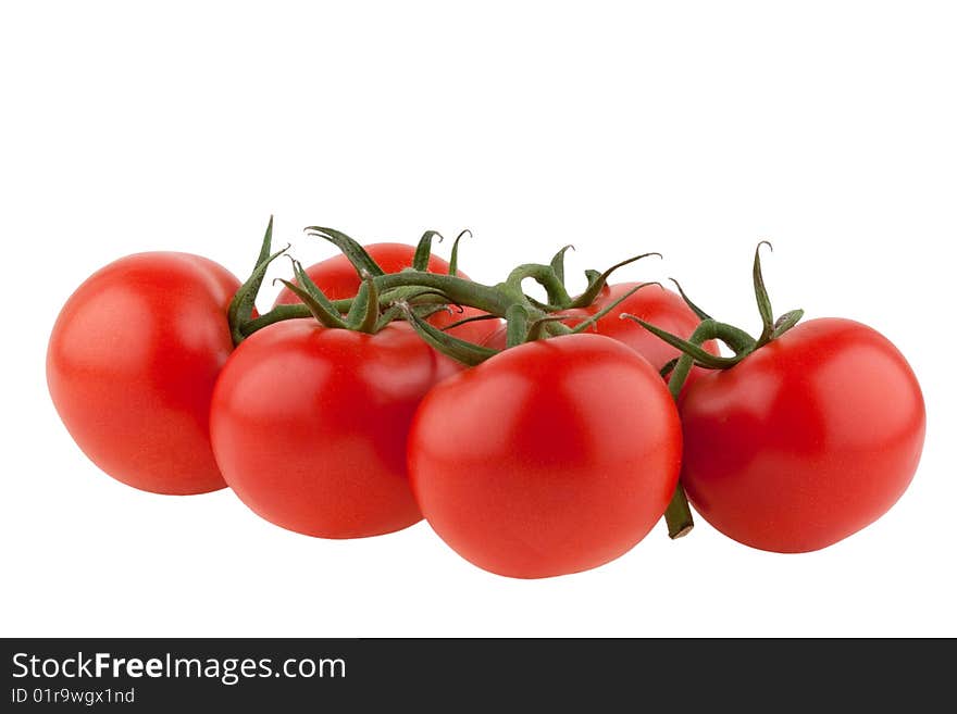 Tomatoes isolated on white background