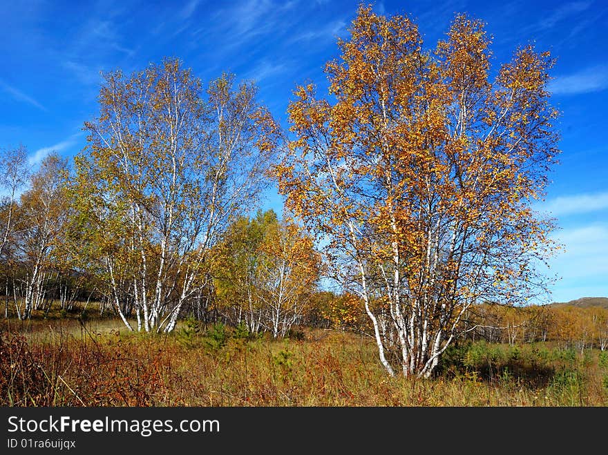 Present a beautiful autumn picture.