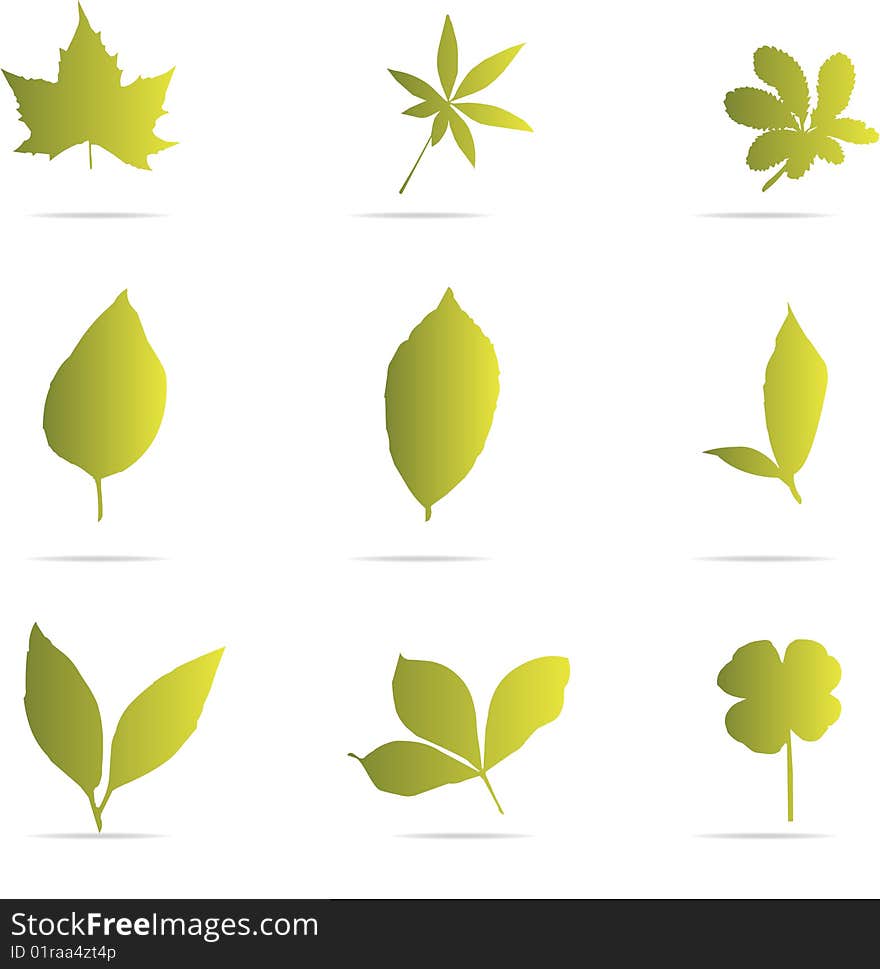 Green leaf vector set. Design elements. Green leaf vector set. Design elements