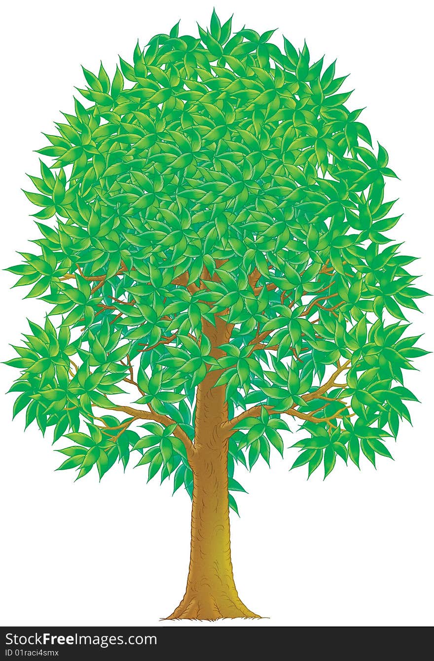 Green Tree