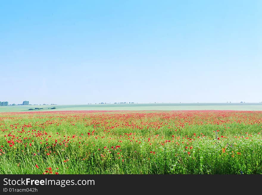 Vast field