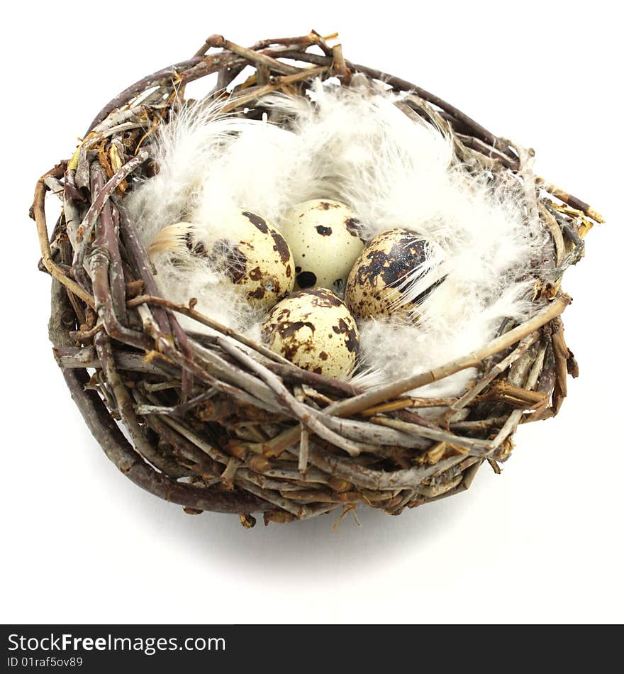 Quail eggs in nest isolated on white