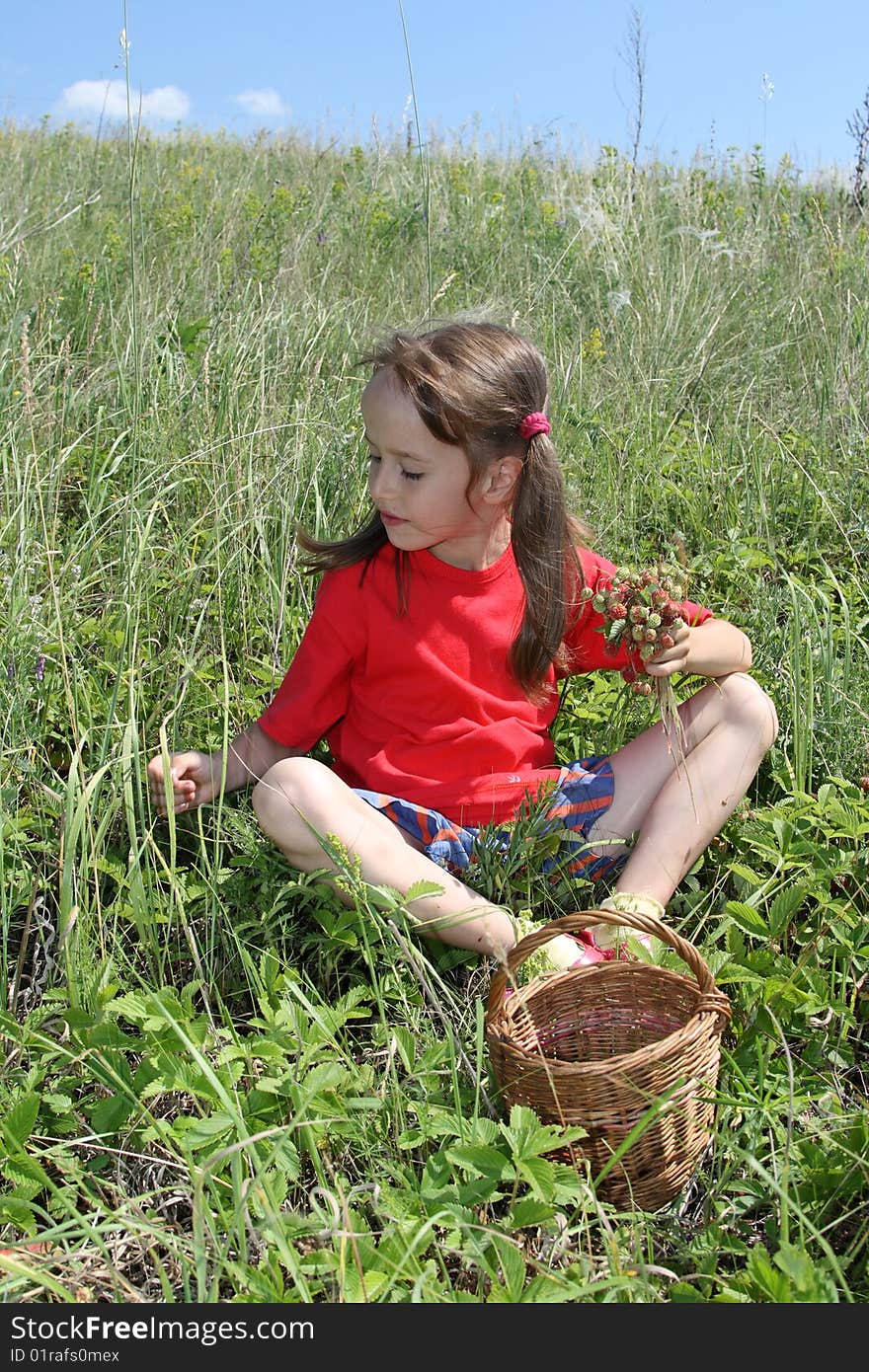 The little girl sitting collects wild strawberry in a basket. The little girl sitting collects wild strawberry in a basket