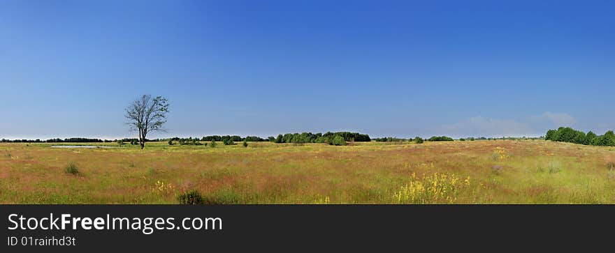 Panorama Summer Ryazan fields. June, the heat. Panorama Summer Ryazan fields. June, the heat.