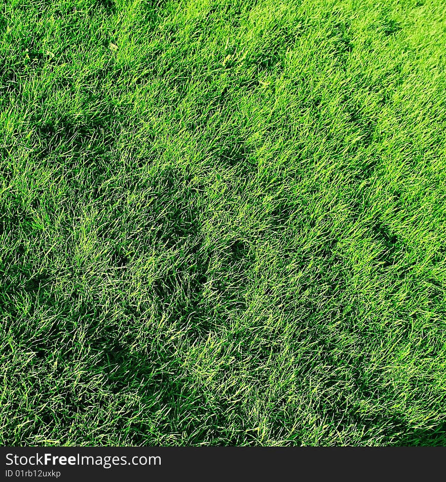 Simple green short grass surface