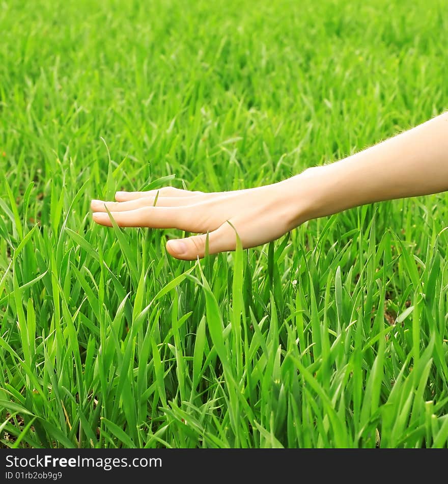 Hand over green lush grass