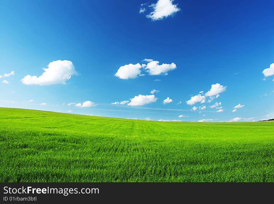 Green grass and blue sky with clouds. Green grass and blue sky with clouds