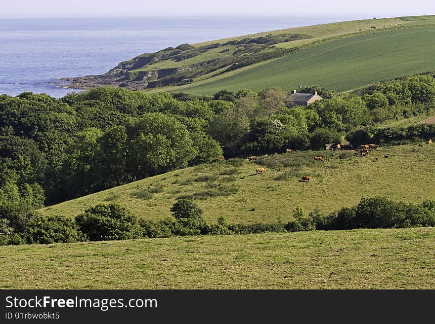 Cornwall countryside