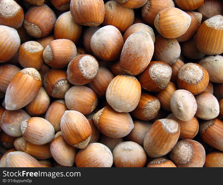 Unshelled organic hazelnuts background. Delicious healthy food.