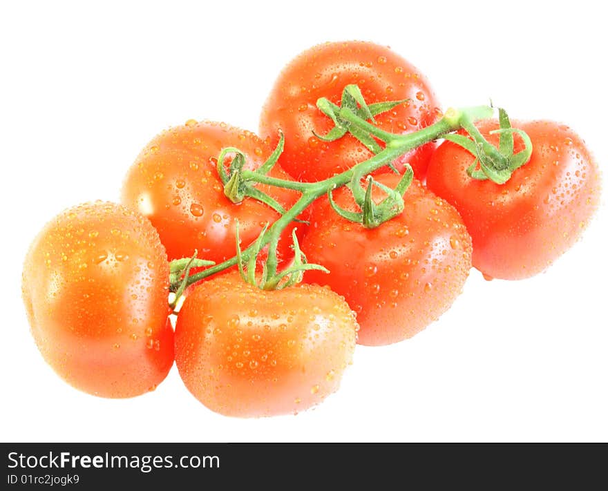 Tomatoes