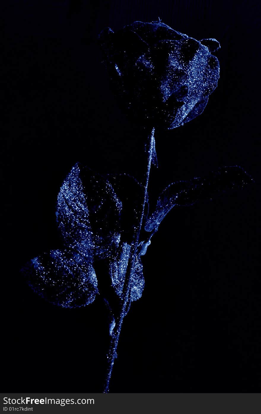 Artificial rose made from paper and plastic on the dark background. Artificial rose made from paper and plastic on the dark background.