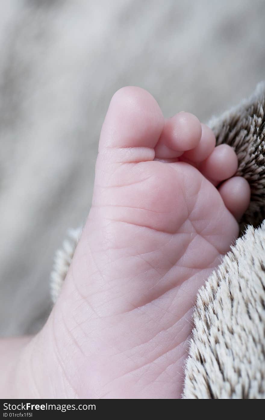 Picture of a new born foot. Baby picture