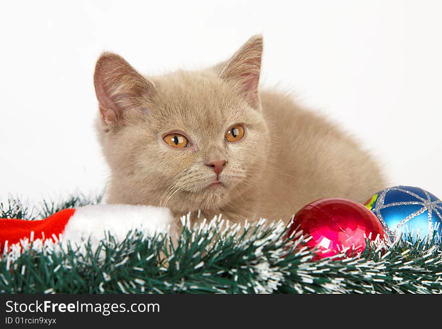 Kitten playing with Christmas Decorations