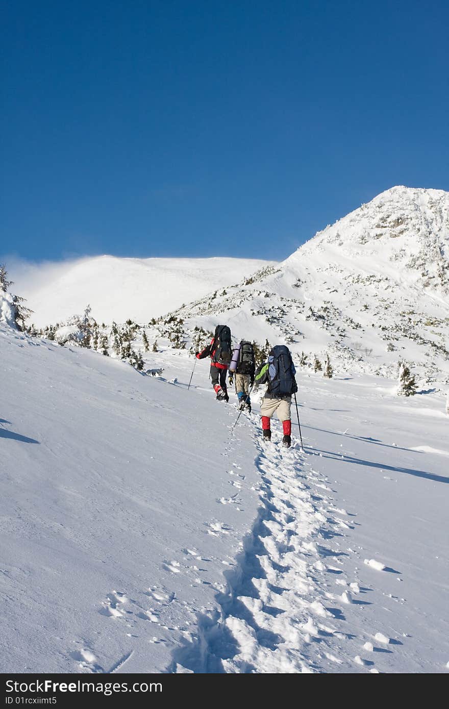 Hikers are in winter in mountains