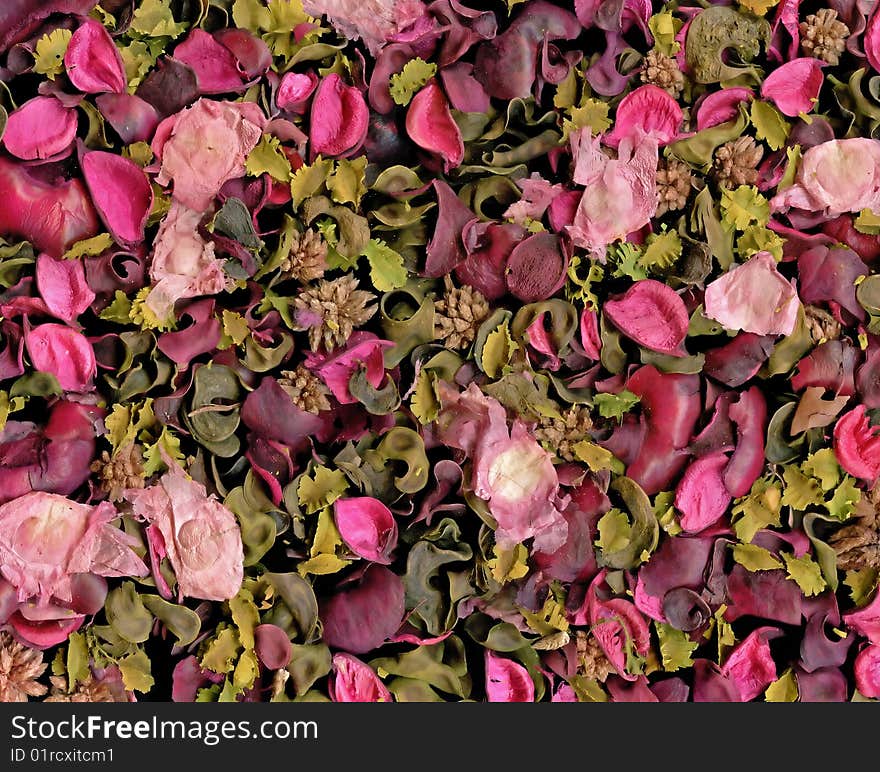 Rose petals texture to background