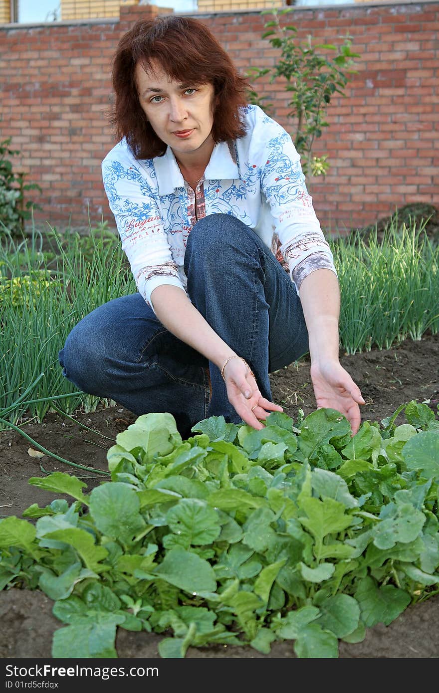 Bed With A Garden Radish