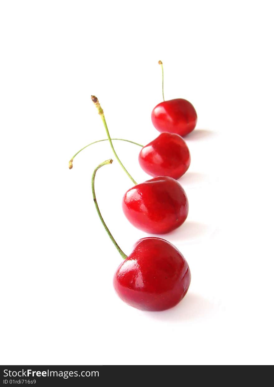 The Fresh Sweet Cherry