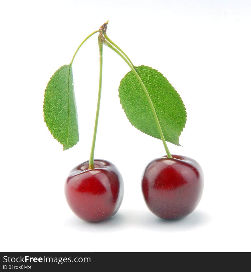 Sweet cherries on a white background