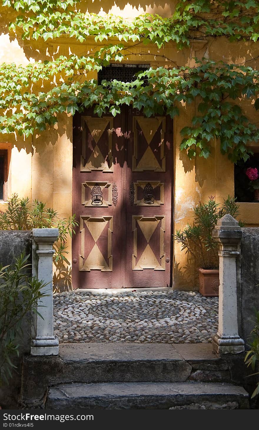 Wonderful old door in a colorful scene with sunlight and shade. Ivy on the top. Wonderful old door in a colorful scene with sunlight and shade. Ivy on the top