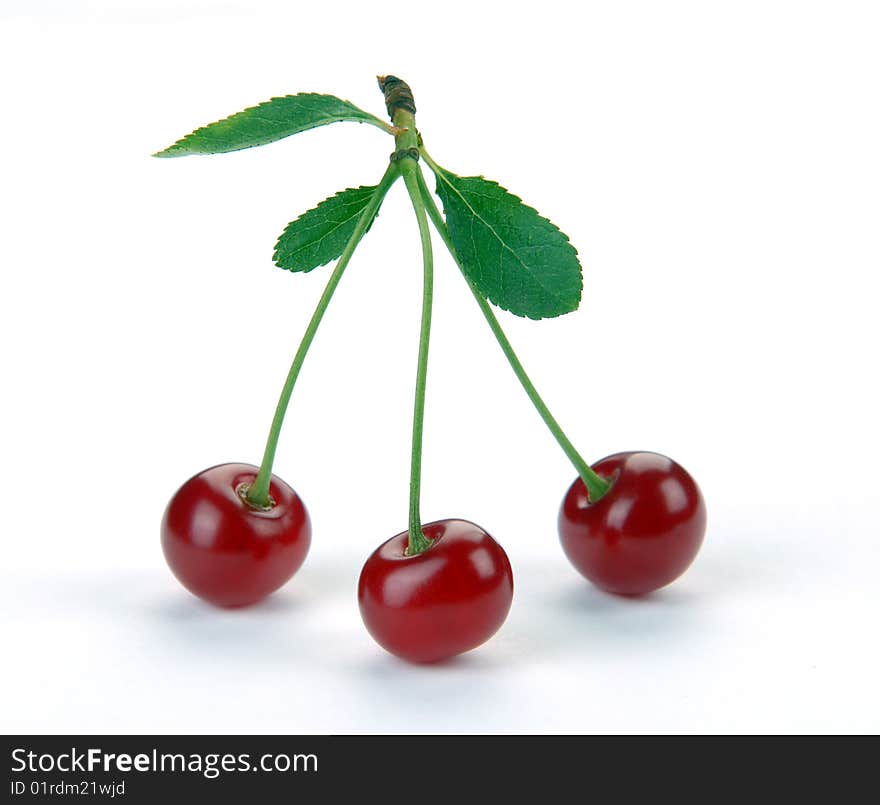 Sweet cherries on a white background