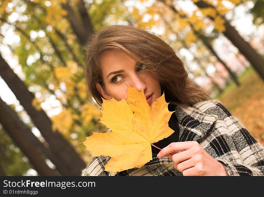 Young woman with a bouquet of maple leaves. Young woman with a bouquet of maple leaves