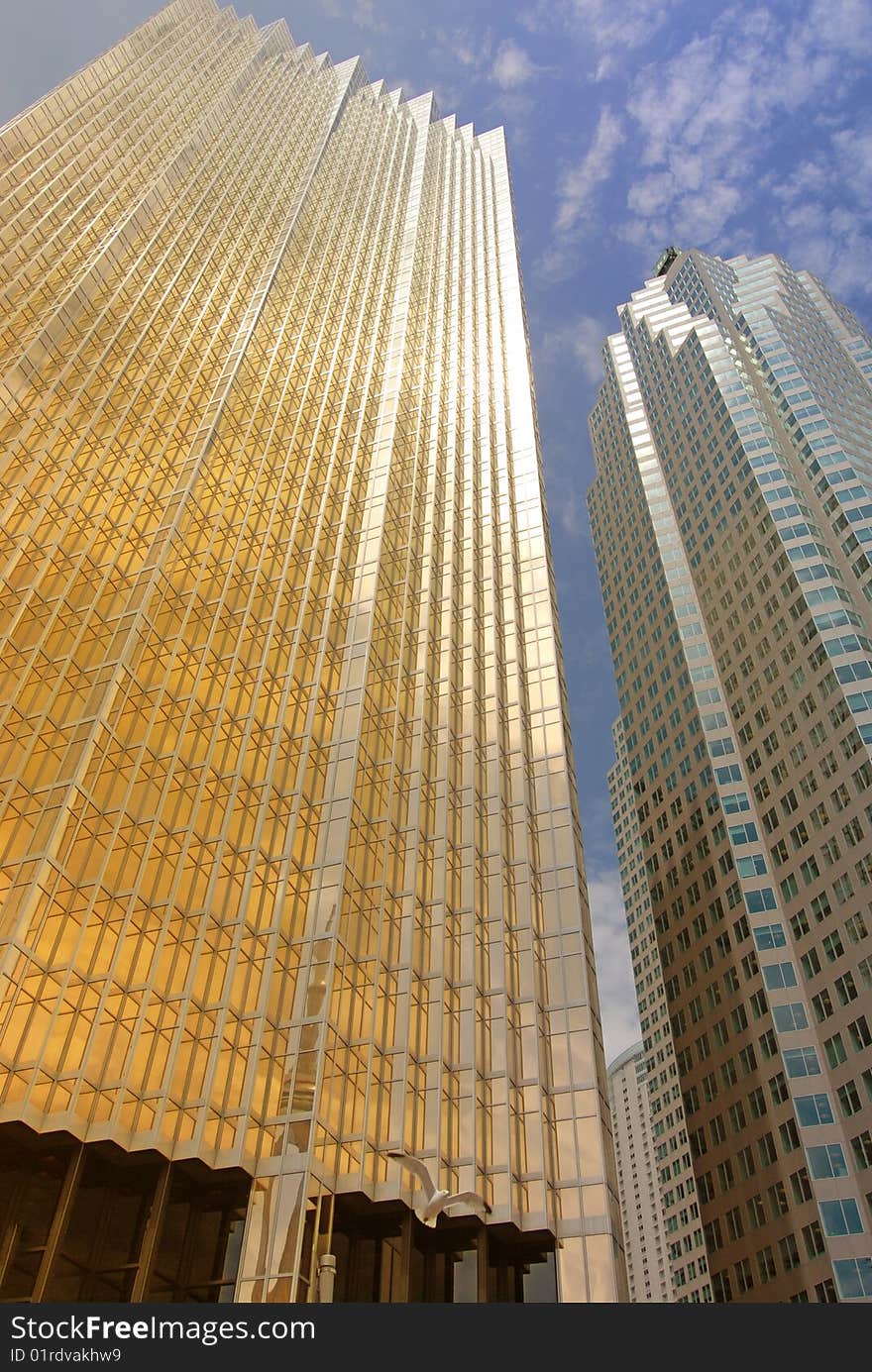 This is a shot of some high rise towers in a North American city. This is a shot of some high rise towers in a North American city.