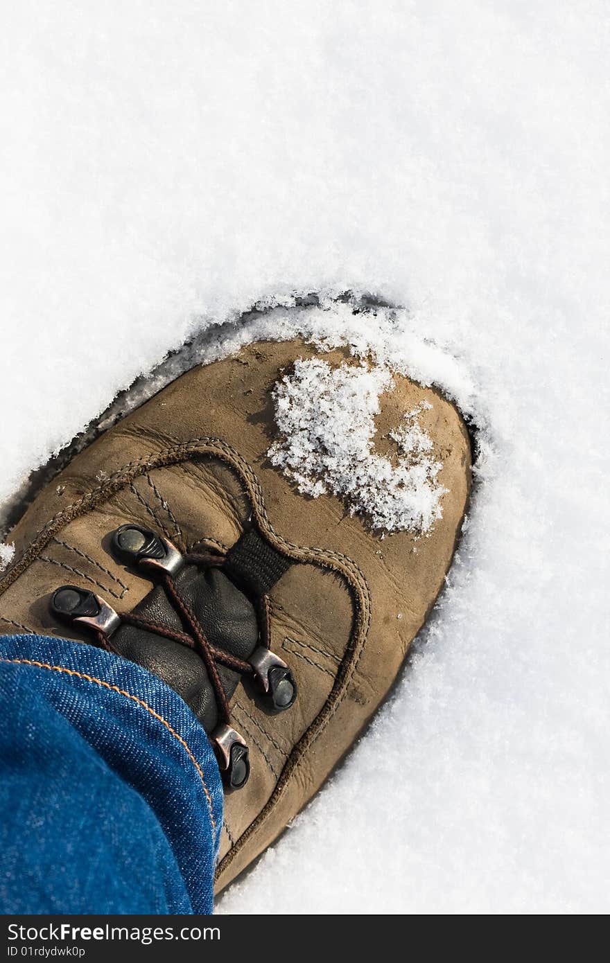 First step in the snow