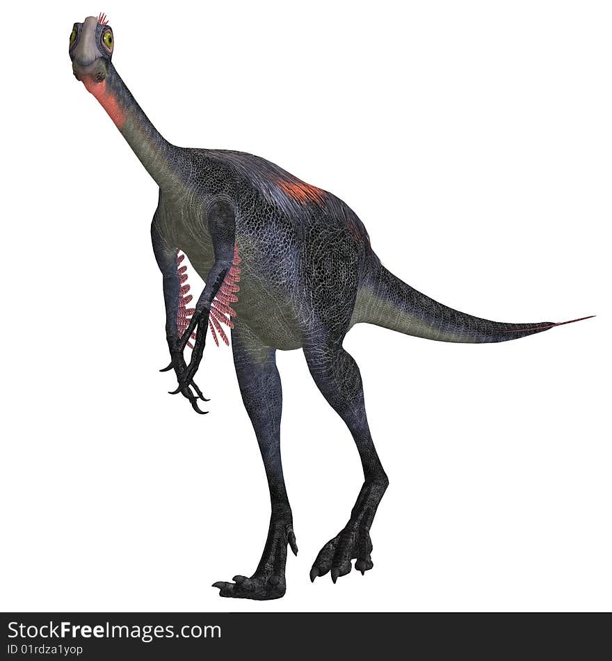 Dangerous dinosaur gigantoraptor. 3D render with clipping path over white. Dangerous dinosaur gigantoraptor. 3D render with clipping path over white