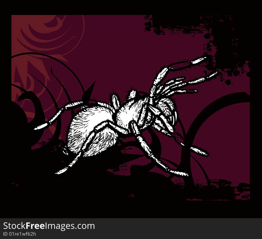 Simple illustration for spider with red and black background . Simple illustration for spider with red and black background .