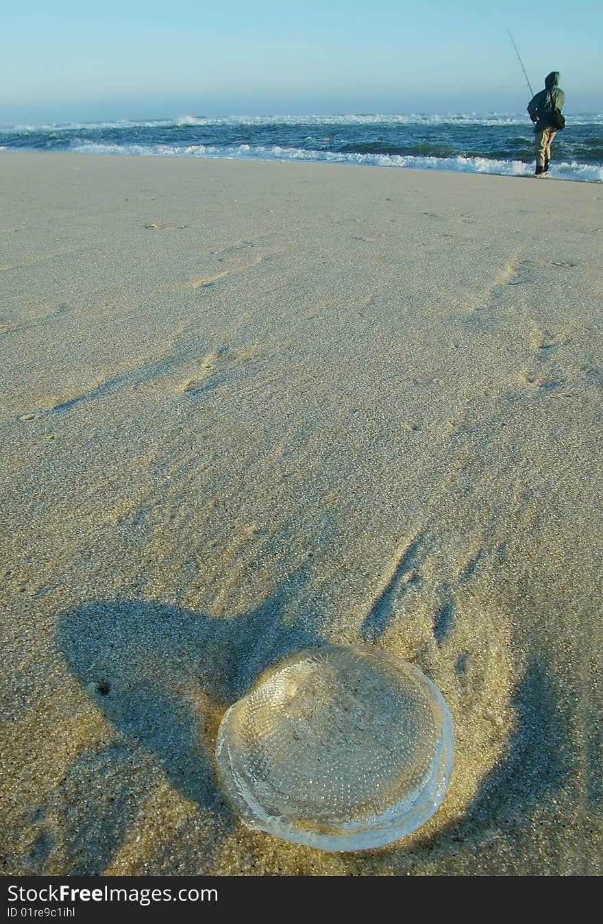 Washed up jelly fish with surf fisherman in back ground. Washed up jelly fish with surf fisherman in back ground