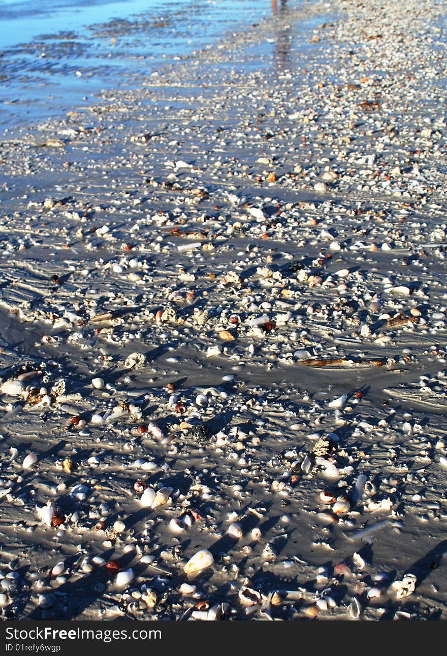 Tital Shell wash at Eighty Mile Beach Western Australia. Tital Shell wash at Eighty Mile Beach Western Australia