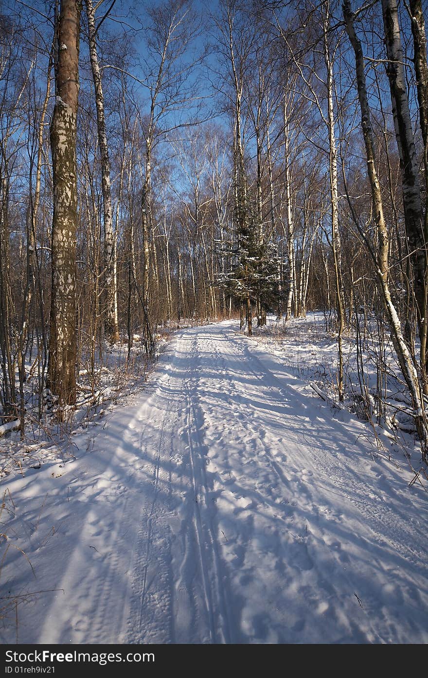 Winter Landscape