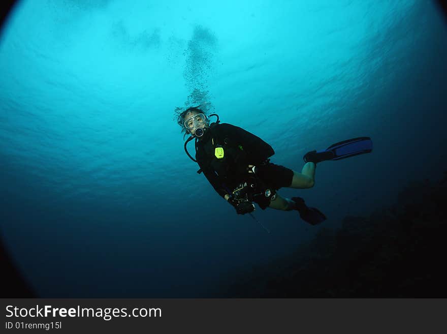 Female Scuba Diver,Underwater Indonesia. Female Scuba Diver,Underwater Indonesia