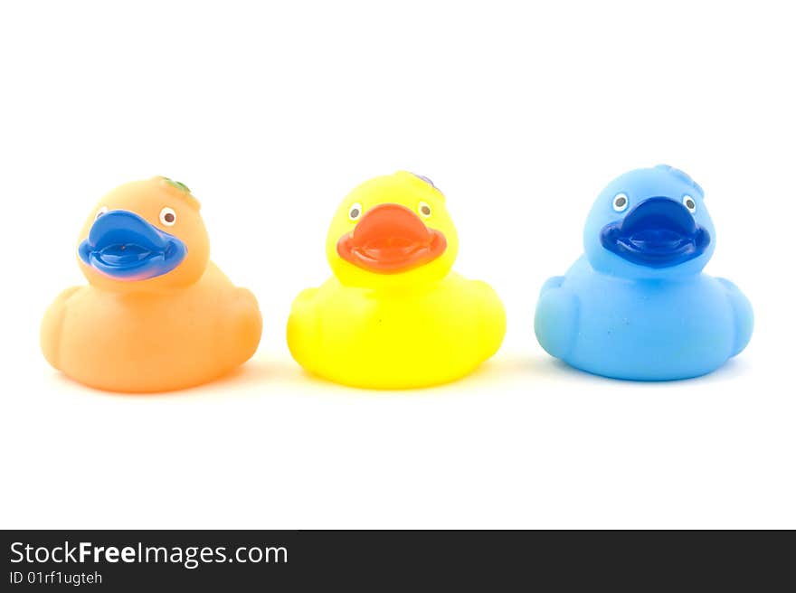 Bath ducks isolated on white background