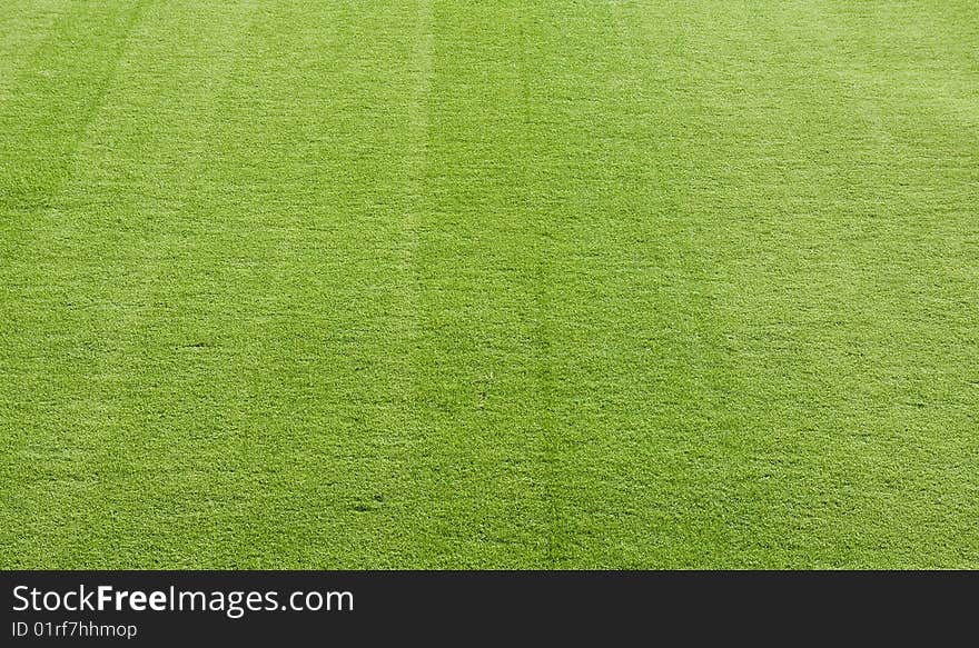 Green Grass from a football field creating a nice background. Green Grass from a football field creating a nice background