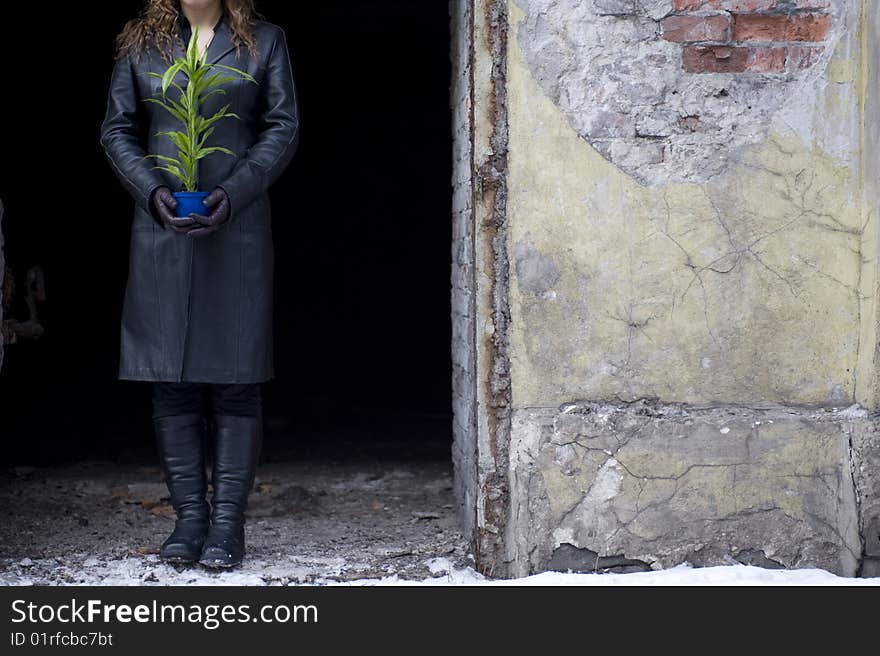 Girl being protecting the green plant. Girl being protecting the green plant