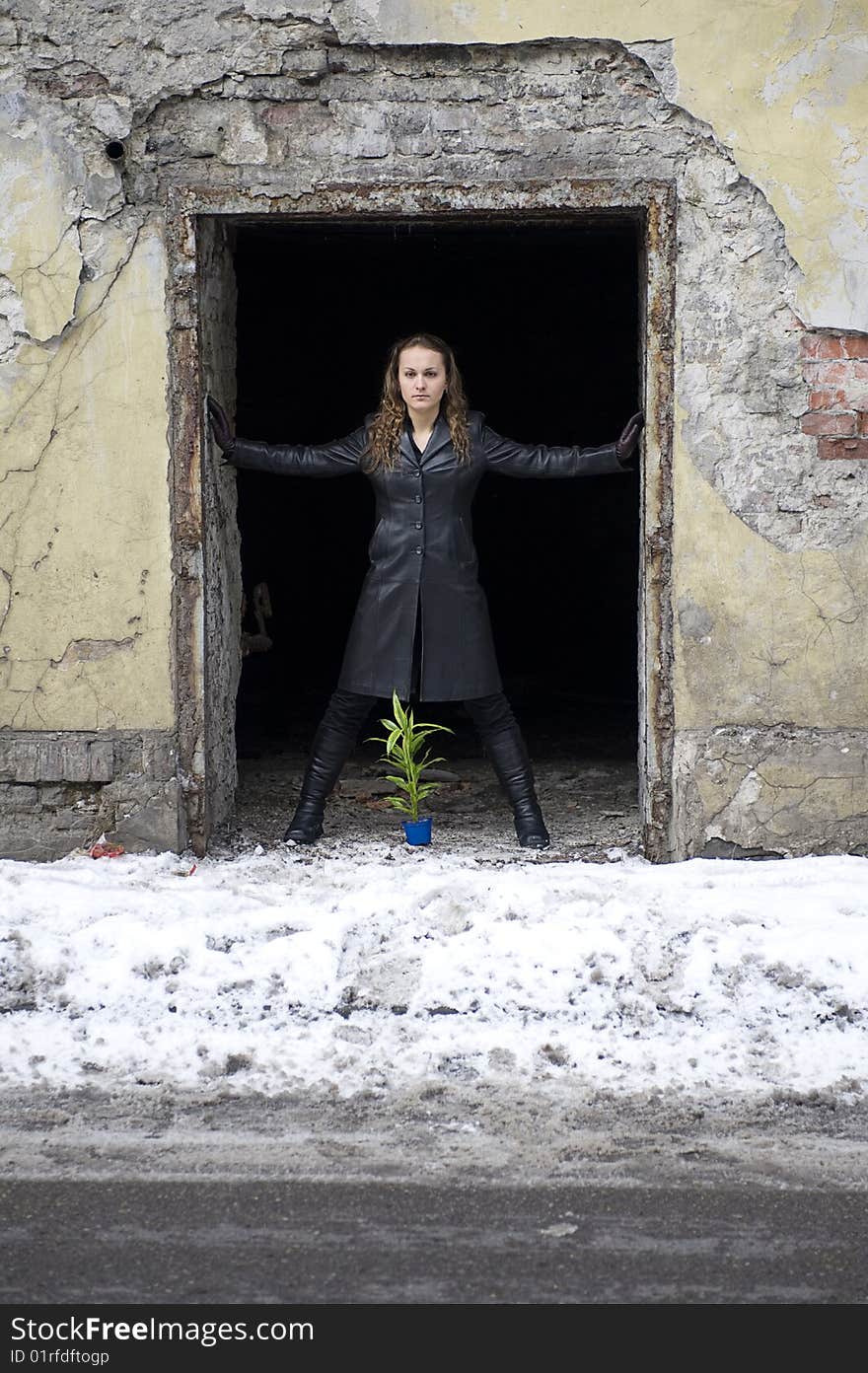 Girl being protecting the green plant. Girl being protecting the green plant