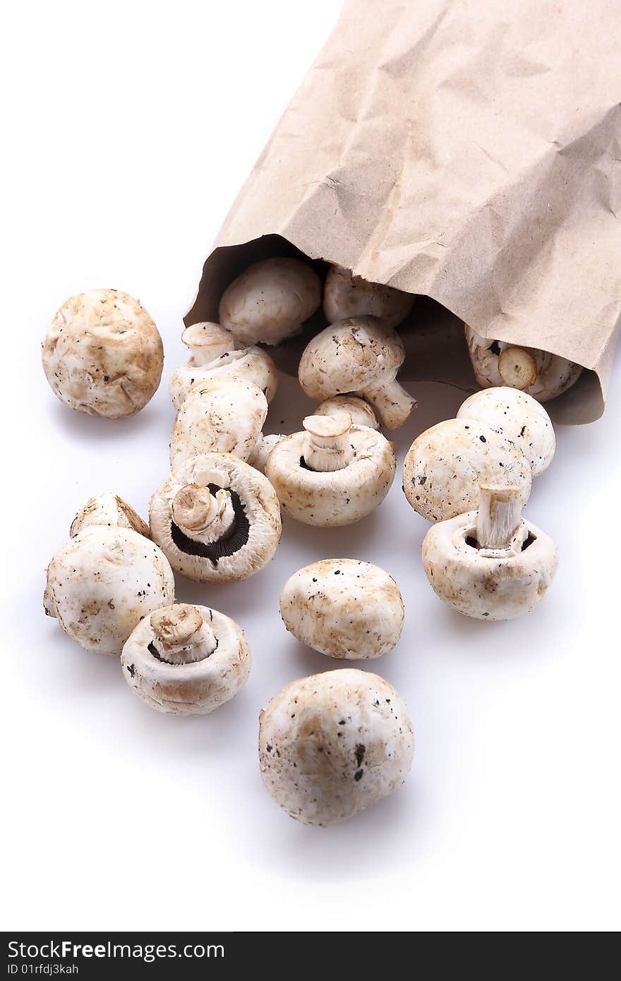 Mushrooms isolated on white background