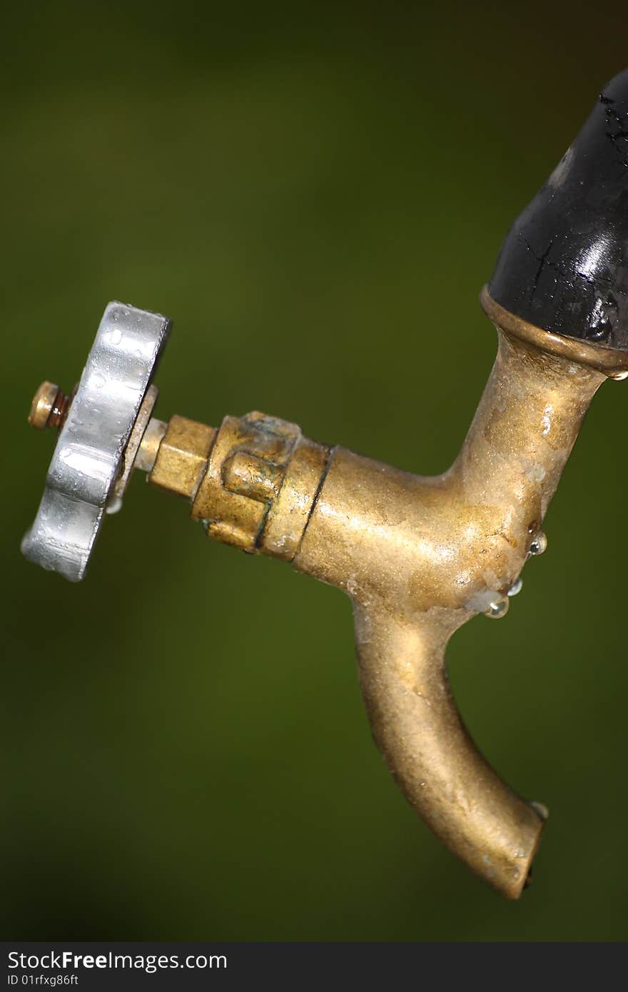 The water tap in the garden