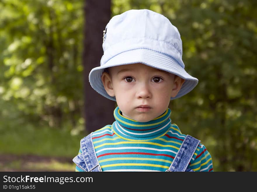 Portrait of the little boy on a summer wood background. Portrait of the little boy on a summer wood background