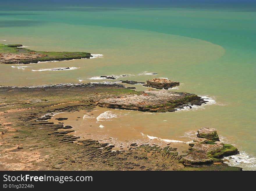 Sea lion colony on rocky patagonian coast