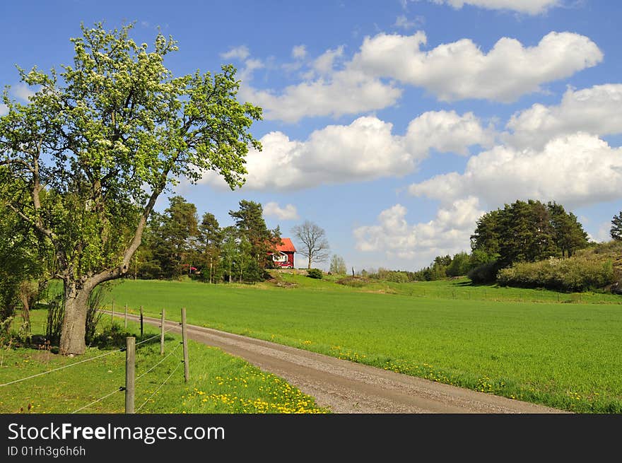 Idyllic Swedish countryside with farmland, red houses and blue sky