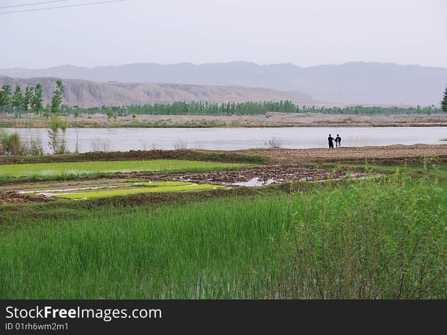 This is the bank of Yellow River in China. This is the bank of Yellow River in China.