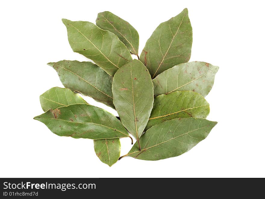 Laurel leaves